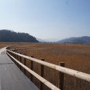 벌교생태공원 운동장 | [전남 벌교 여행] 순천만 대신 선택한 조용한 숨은 명소! '벌교생태공원 옆 장좌리 갈대습지' 산책 후기