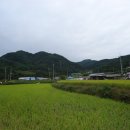 인곡경로당 이미지