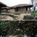 누리령 산봉우리, 나그네 눈물로 젖어 있네