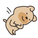 아이러브GYM 이미지