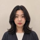 세븐헤어월드 - 하남시 | 세븐헤어월드