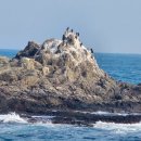 보릿돌펜션 | 1456.포항 보릿돌교/포항여행/ 포항 가볼만한곳