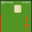 광적동물병원