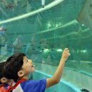 국립해양박물관 이미지