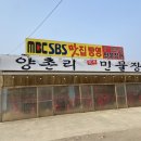 양촌리민물장어 이미지