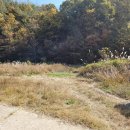 쌍백농장 이미지