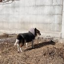 한울가든 이미지