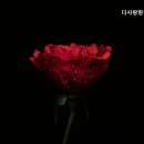 다사랑행복센터 | 연로하신 부모님 위한 추천 처인구 요양원 다사랑방문요양센터 따뜻한 돌봄으로 추천