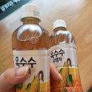 연안사거리1(GS칼텍스주유소 맞은편 교통섬) | 수월하게 수원 걷기⑤} 효행공원과 지지대비