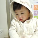 돌콩새 이미지