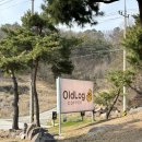 (부안)부안 오션뷰 카페 변산 디저트 모항 곰소 ‘올드로그’ 후기