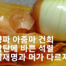 사쿠라가 나타나 보수분열 획책하고 있다. 이미지