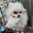 독산로51길 이미지