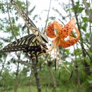 장수슈퍼 이미지