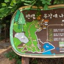 늘솔길공원양떼목장 이미지