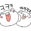 고기좀아는언니