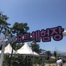 강원도 속초 코마린 요트, 보트 체험 후기 진짜 지친 일상 속 힐링 제대로네요.