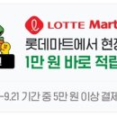 롯데마트문화비 이미지