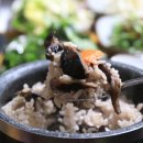 송이버벗 이미지