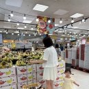 피크닉마트 | 이고진 써보리 폴딩카트 실사용후기 마트, 피크닉 갈때 핵꿀템