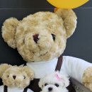 야옹아 멍멍해봐 계림점 이미지