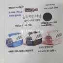 정보 애견켄넬 애견이동장 이탈리아 행사 이미지