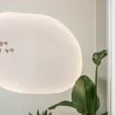 바른동물의료센터 이미지