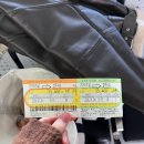 월성초등학교 | 경주 혼자여행 1박2일 / 여자 혼행지 / 경주 게스트하우스