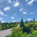 가평 양떼목장 이미지