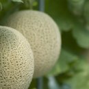 곡성-116 이미지