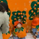 해남군-04 | 땅끝 해남 문화센터 어디 있나요? 해남군립도서관 문화강좌 총정리 (육아 가정 추천)