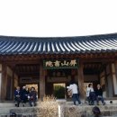 하회마을 Daum카페