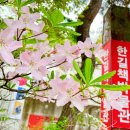 꽃별당 이미지