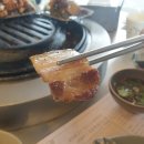 쫄면돼지 이미지