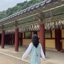 천년의비빔밥 | 불국사 템플스테이 석굴암 천년의 숨결 추천 후기 및 준비물