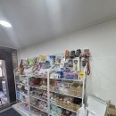 고려애견샵 이미지