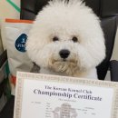 예뻐지개 이미지