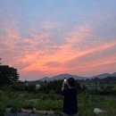 아라뜰데이지 | 강화도 여행 : 아라뜰펜션 데이지룸 독채 개별바베큐 내돈내간 찐 후기