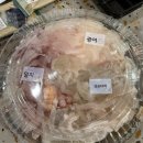 지에스(GS)25 여수이순신점 이미지