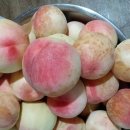 갈촌농장 이미지