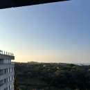 히든호텔 | 제주도 서귀포 호텔 추천 히든클리프 디럭스 더블 클리프뷰 수영장 후기