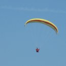 삐돌이네 이미지