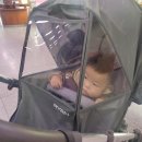 웅동2동행정복지센터 이미지