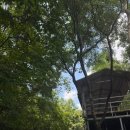 곰골산촌 이미지