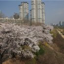 뚝섬한강공원-58 이미지