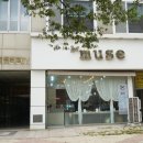 뮤즈헤어갤러리 이미지