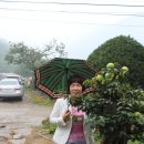 부잣집보쌈 이미지