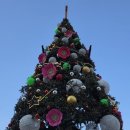 고사성어 및 실용한자 | [스누피의 풍경사진5.52] 양천구 정목초 구스타프 카유보트의 노를 젖는 선수들, 서커스의 한장면...