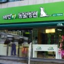 자연은동물병원 이미지