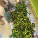 풍년농약마트 이미지